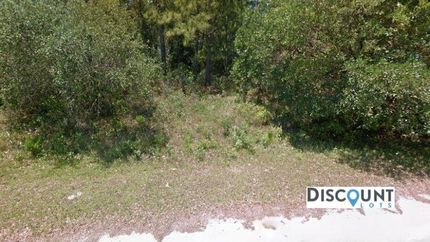 Timberland Property in Brunswick County, North Carolina