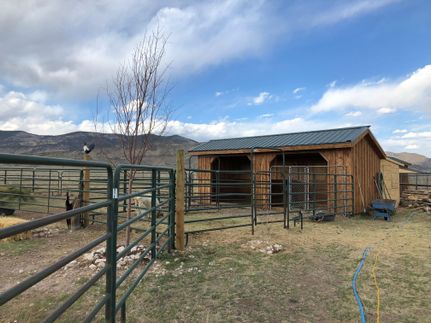 Undeveloped Land in Saguache County, Colorado