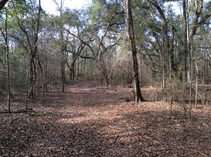 Commercial Property in Lee County, Georgia