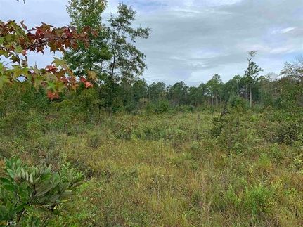 Hunting Property in Effingham County, Georgia