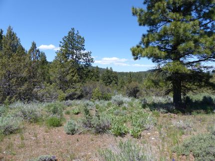 Undeveloped Land in Harney County, Oregon