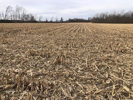 Undeveloped Land in Grant County, Indiana