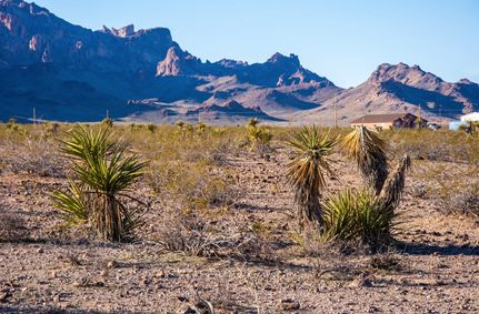Homesite in Mohave County, Arizona