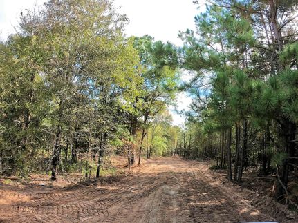 Undeveloped Land in Smith County, Texas