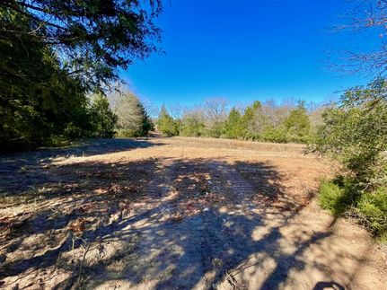 Undeveloped Land in Robertson County, Texas