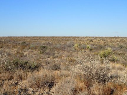 Farm and Ranch in Brewster County, Texas