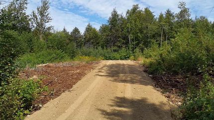 Timberland Property in Penobscot County, Maine