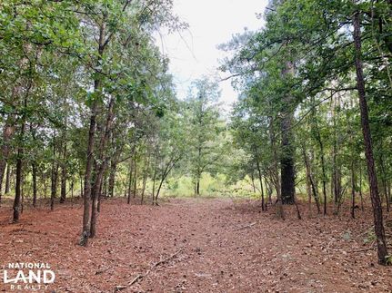 Land in Kershaw County, South Carolina