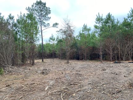 Recreational Property in Cass County, Texas