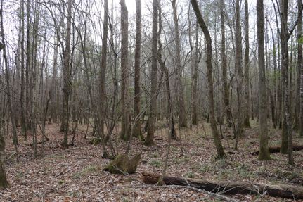Land in Choctaw County, Mississippi