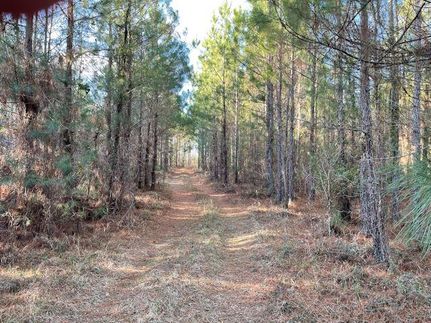 Recreational Property in Screven County, Georgia