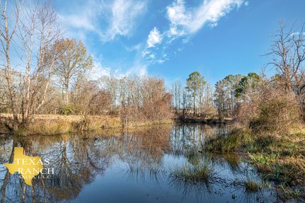 Farm and Ranch in Sabine County, Texas
