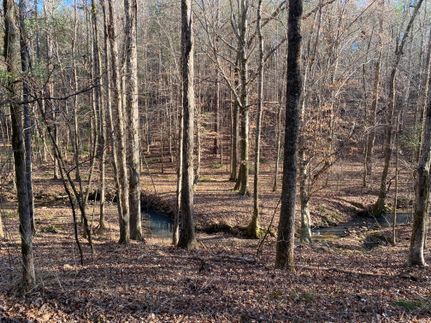 Timberland Property in Tallapoosa County, Alabama