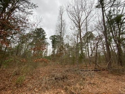 Recreational Property in Morris County, Texas