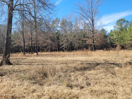 Recreational Property in Drew County, Arkansas