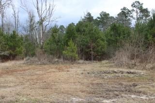 Timberland Property in Angelina County, Texas