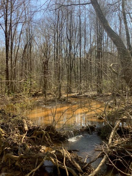 Recreational Property in Randolph County, Georgia