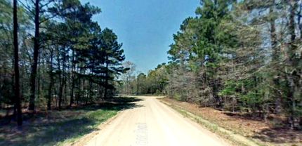 Timberland Property in Polk County, Texas