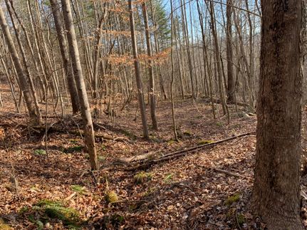 Recreational Property in Claiborne County, Tennessee