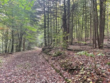 Commercial Property in Oswego County, New York