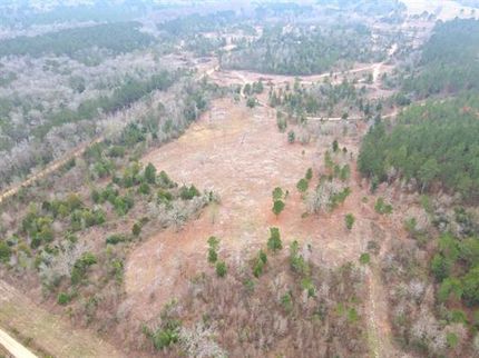 Recreational Property in Cass County, Texas