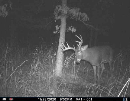 Hunting Property in Adams County, Wisconsin