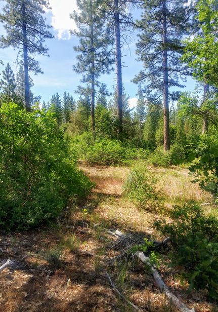 Farm and Ranch in Shasta County, California