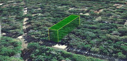 Recreational Property in Polk County, Texas