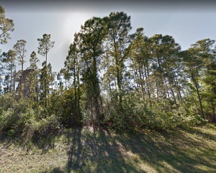 Undeveloped Land in Sarasota County, Florida
