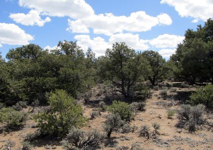 Farm and Ranch in Costilla County, Colorado