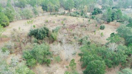 Undeveloped Land in Jeff Davis County, Georgia