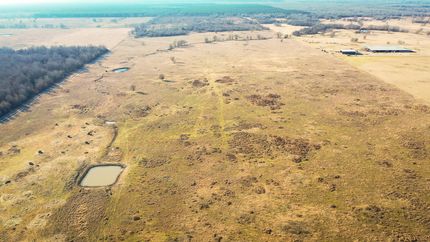 Timberland Property in Bowie County, Texas