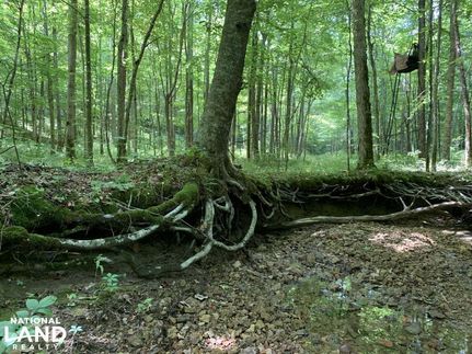 Land in Adair County, Kentucky