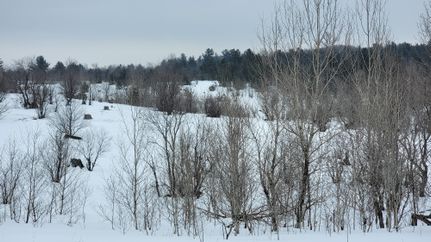 Farm and Ranch in Otsego County, Michigan