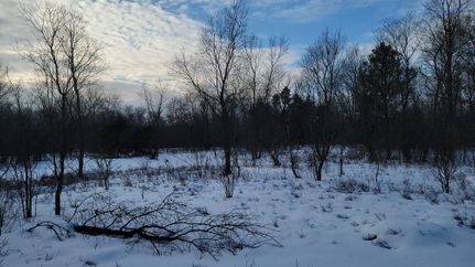 Land in Crawford County, Michigan