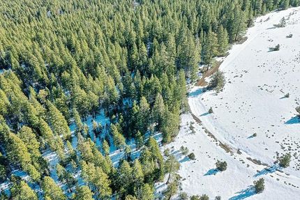 Undeveloped Land in Modoc County, California
