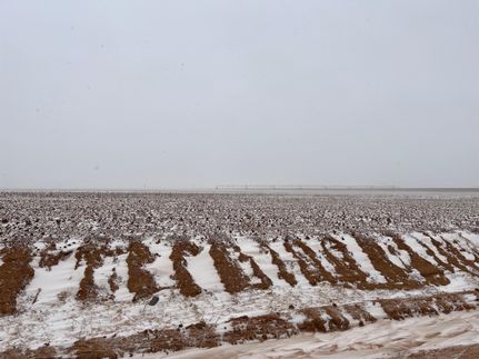 Farm and Ranch in Lamb County, Texas