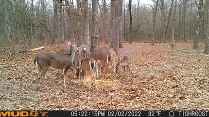 Land in Johnston County, Oklahoma