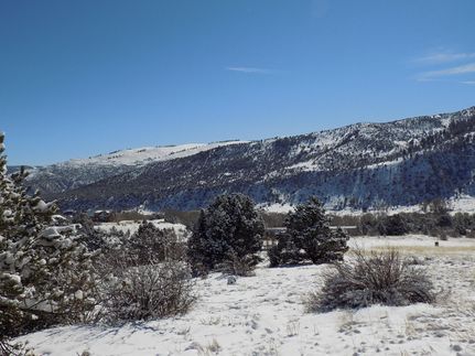 Undeveloped Land in Chaffee County, Colorado