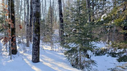 Recreational Property in Vilas County, Wisconsin