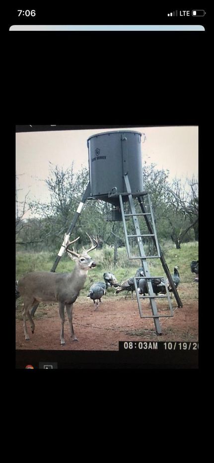 Farm and Ranch in Fisher County, Texas