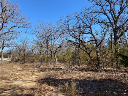 Undeveloped Land in Cooke County, Texas