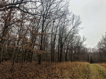 Land in Hickory County, Missouri