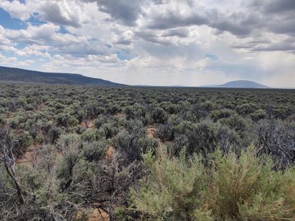 Undeveloped Land in Costilla County, Colorado