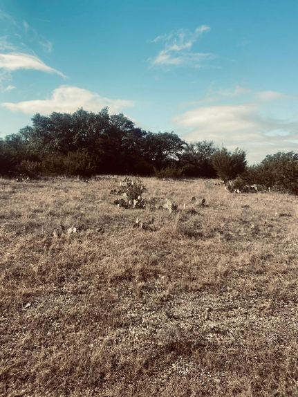Timberland Property in Burnet County, Texas