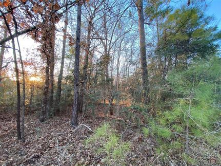 Recreational Property in Tyler County, Texas
