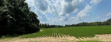 Land in Jenkins County, Georgia