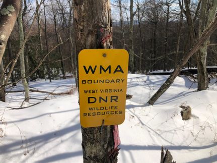 Undeveloped Land in Hardy County, West Virginia