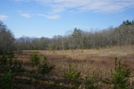 Hunting Property in Cumberland County, Tennessee