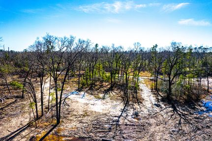 Farm and Ranch in Jasper County, Texas